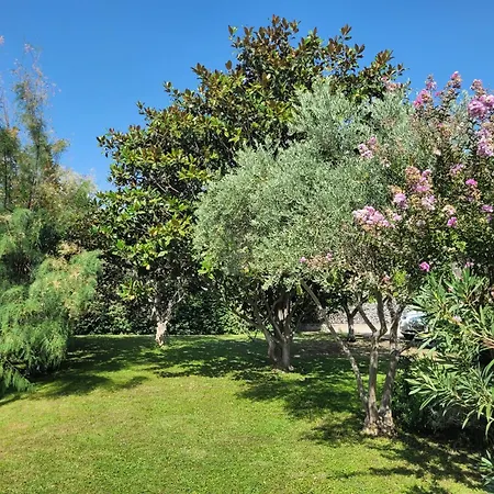Villa La Des Lavandes - A 300m Du Centre, Au Calme, Et Au ! L'Isle-sur-la-Sorgue